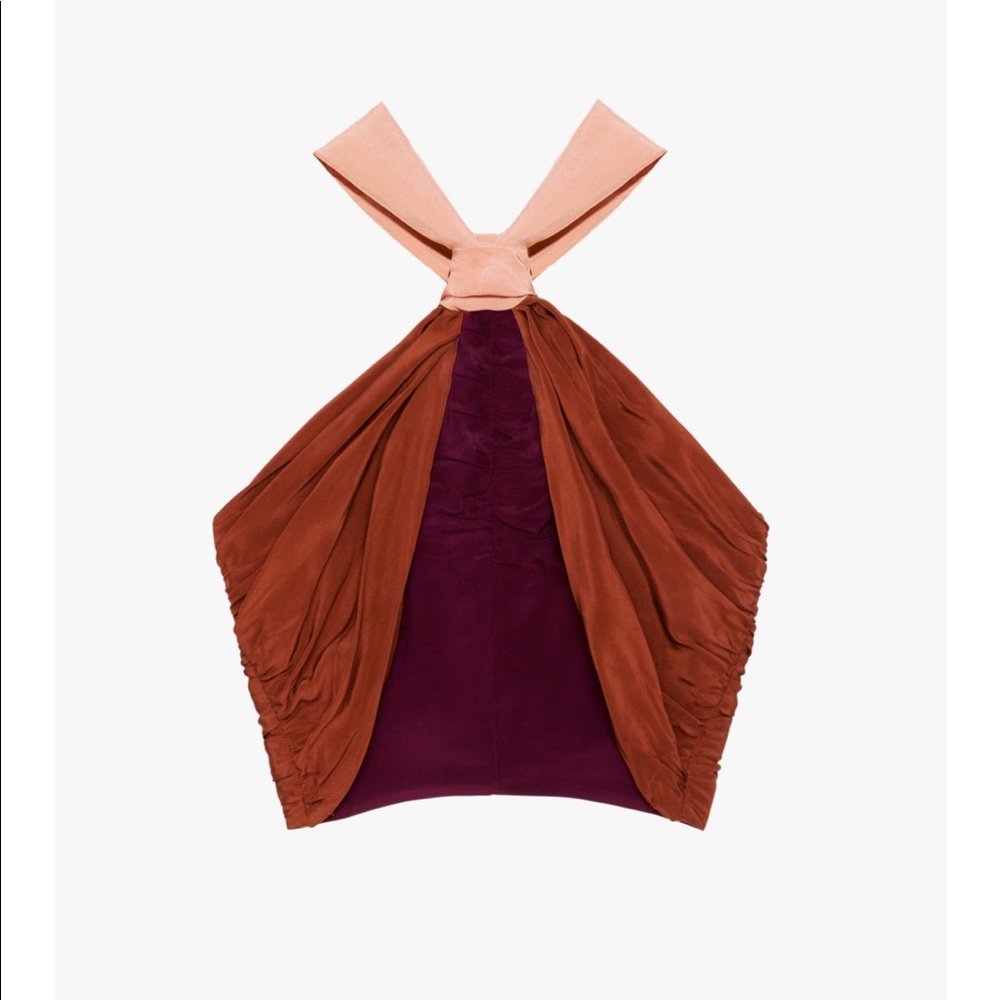 ISO Zara limited edition crop top